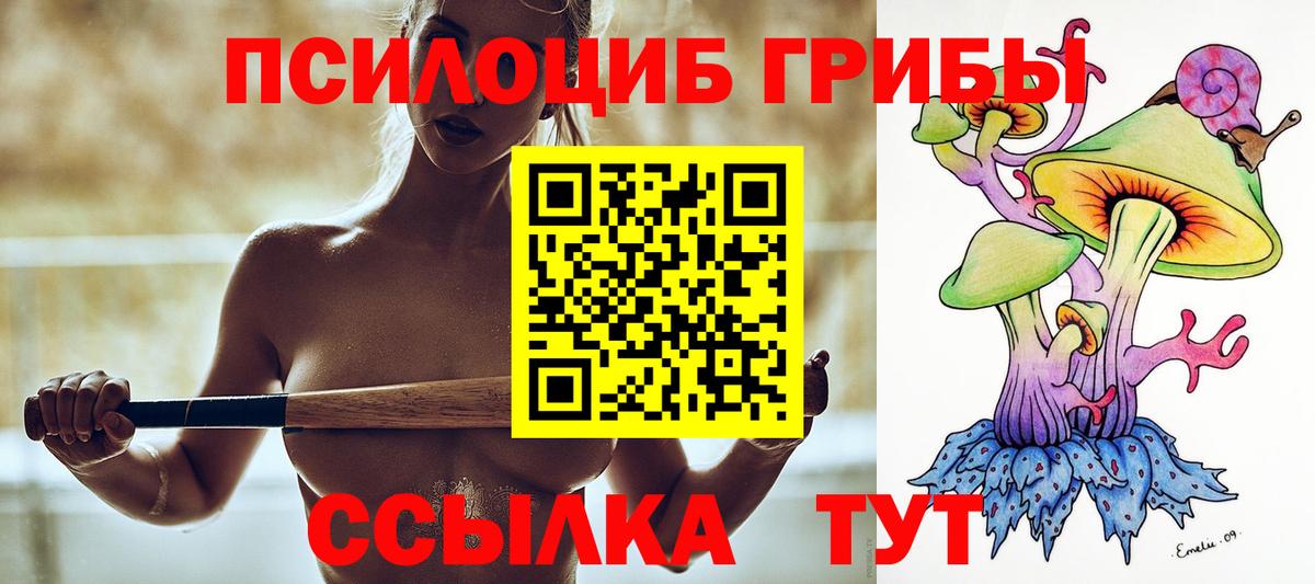 Галлюциногенные грибы прущие грибы Гусиноозёрск