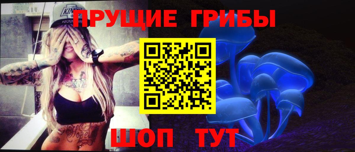 купить   Псилоцибиновые грибы ЛСД  Вход с VPN  Гусиноозёрск 